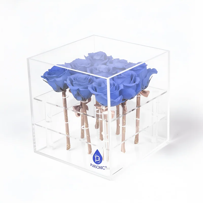 9 Preserved Roses in Acrylic Box: 100% Real Natural Roses That Last Over 1 Year RED