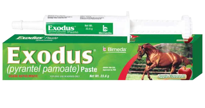 Bimeda Exodus Paste (pyrantel pamoate)