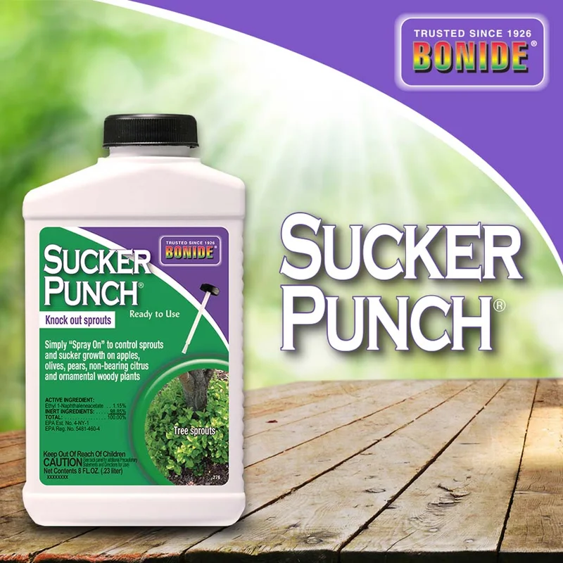 Bonide Sucker Punch RTU