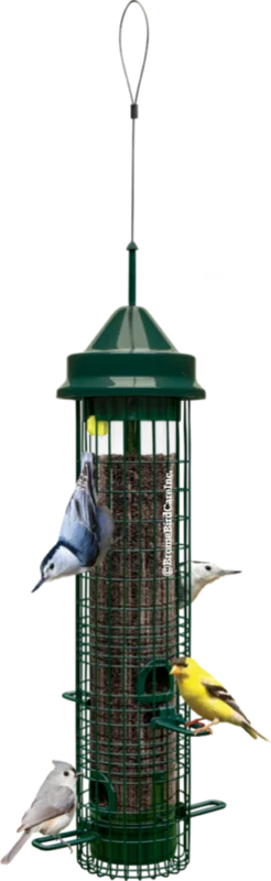 Brome Bird Care Squirrel Buster Classic Green