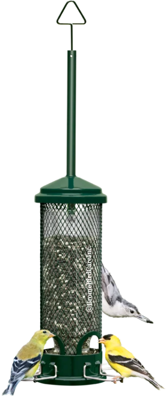 Brome Bird Care Squirrel Buster Mini