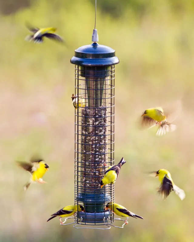 Brome Squirrel Solution 150 Tube Bird Feeder