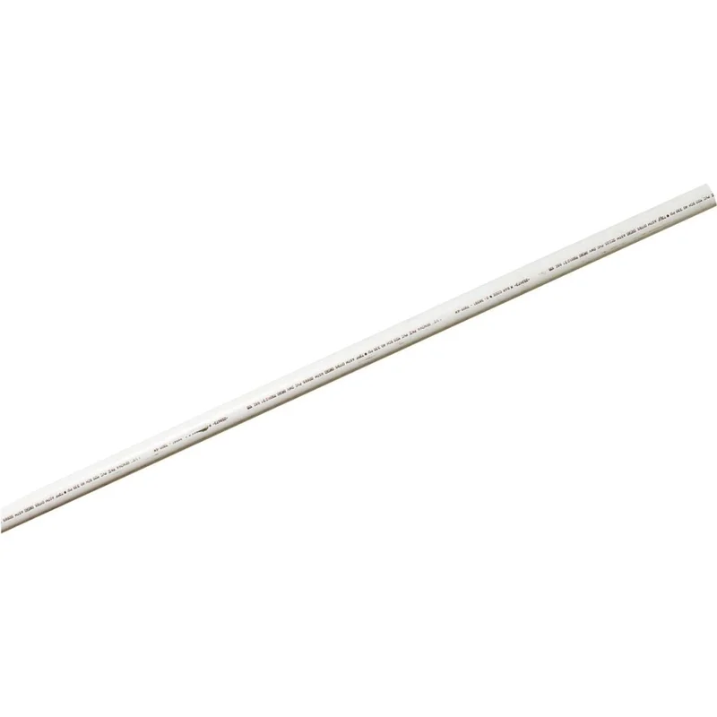 Charlotte Pipe 2 In. x 10 Ft. PVC-DWV Dual Rated Schedule 40 Pipe