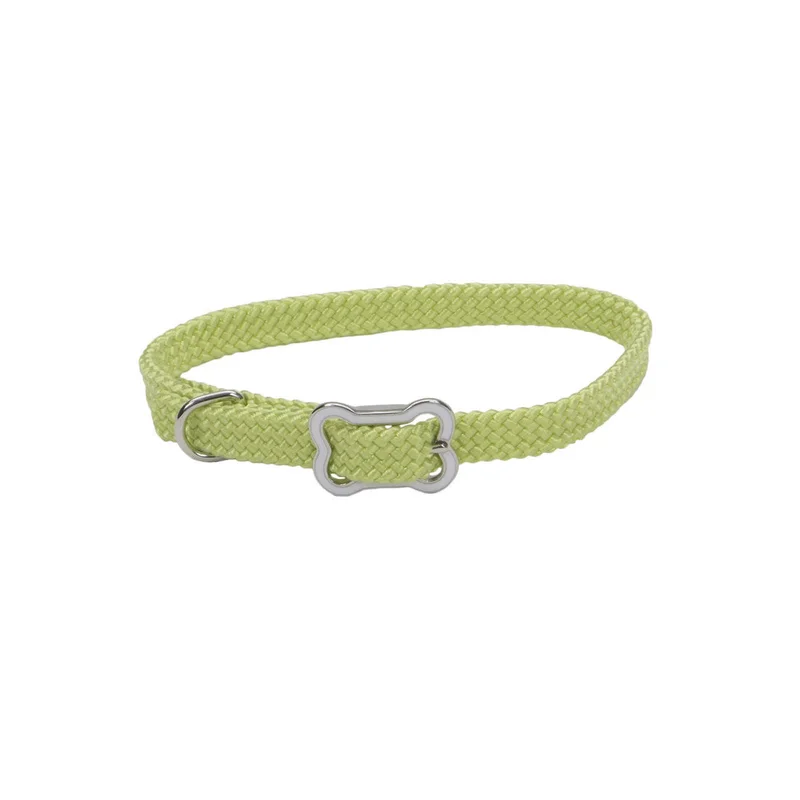 Coastal Pet Products Sunburst Dog Collar with Bone Buckle Red