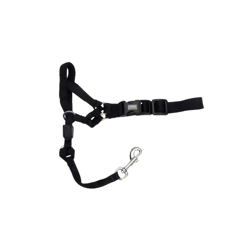 Coastal Pet Walk 'n Train! Dog Head Halter