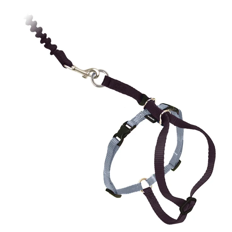 Come With Me Kitty Black Cat Harness & Bungee Leash