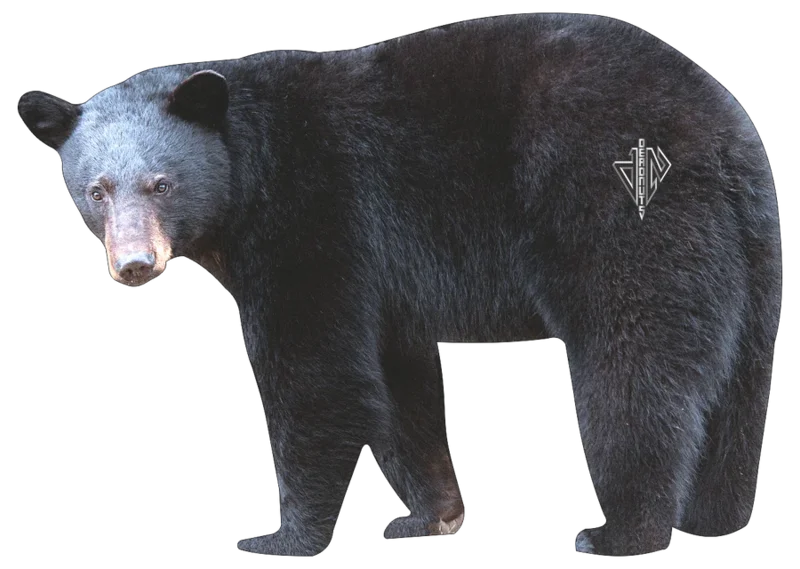 Deadnuts 2D BLACK BEAR BROADSIDE TARGET