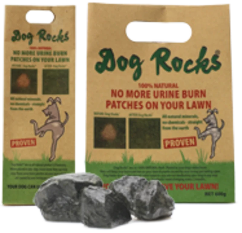 Dog Rocks