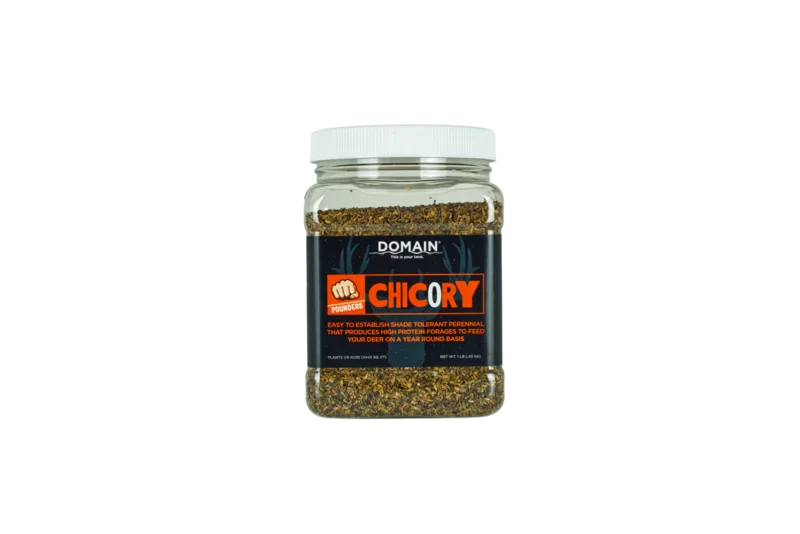 Domain Pounder  Chicory Food Plot Seed