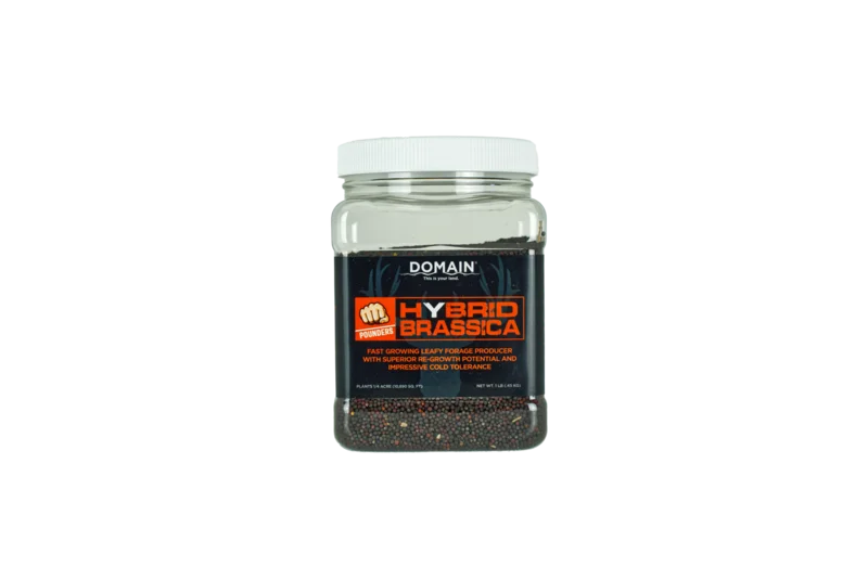 Domain Pounder  Hybrid Brassica Food Plot Seed