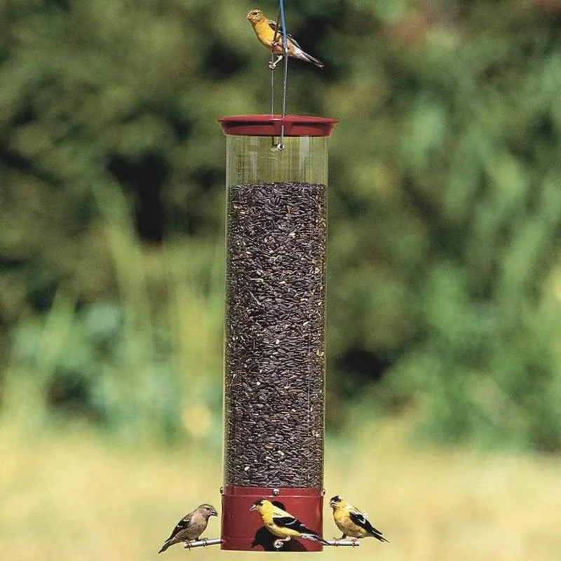Droll Yankees Yankee Dipper Squirrel-Resistant Bird Feeder, 5 lb. capacity, 28 in., Red
