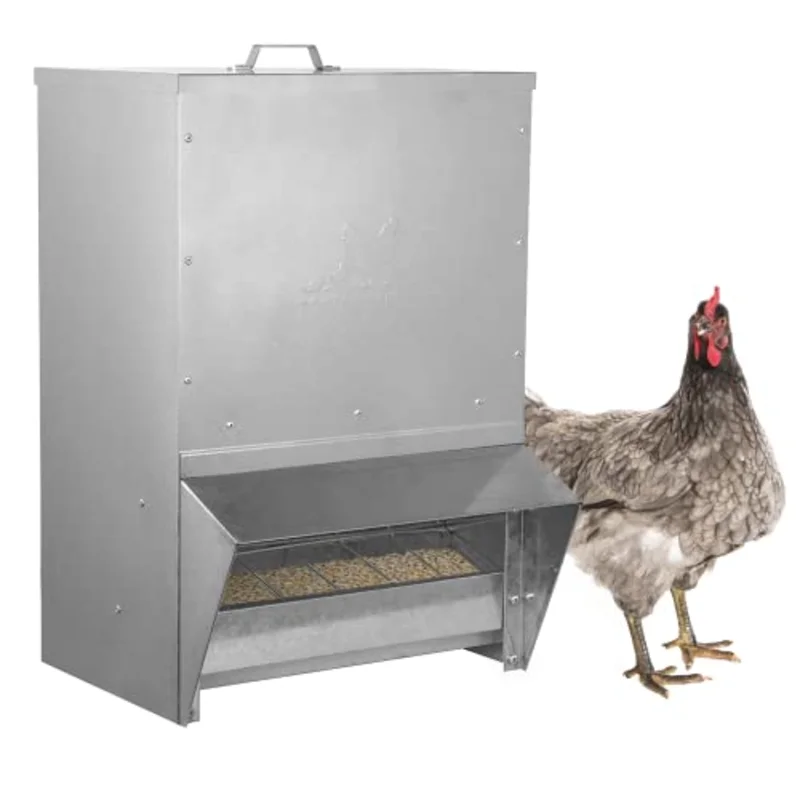 Galvanized Chicken Tough Feeder, Weatherproof Poultry Food Dispenser with Lid - 50lb
