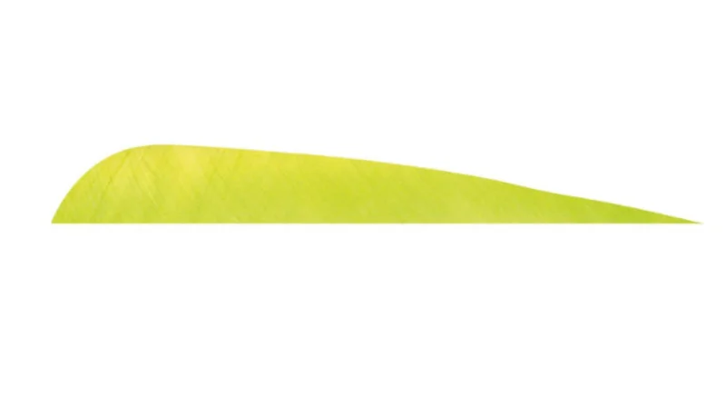 Gateway 4 In. Parabolic feathers (100 pk) Red