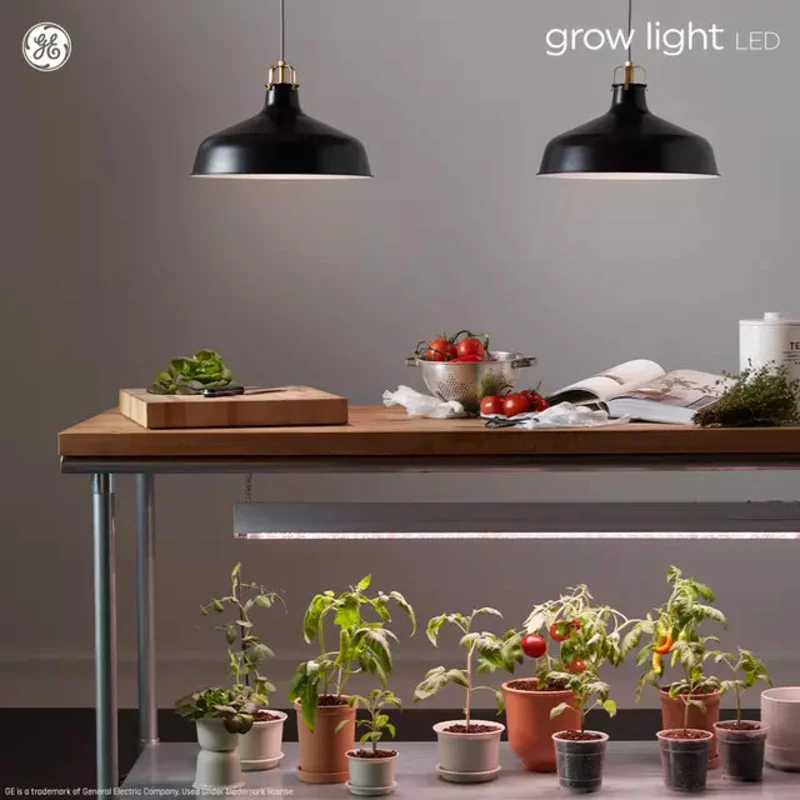 GE Grow LED Light Bulbs for Fruits and Flowering A19 Bulbs 9 Watts