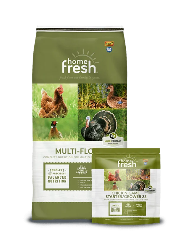 Home Fresh Multi-Flock Chick N Game Starter/Grower 22 Pellet