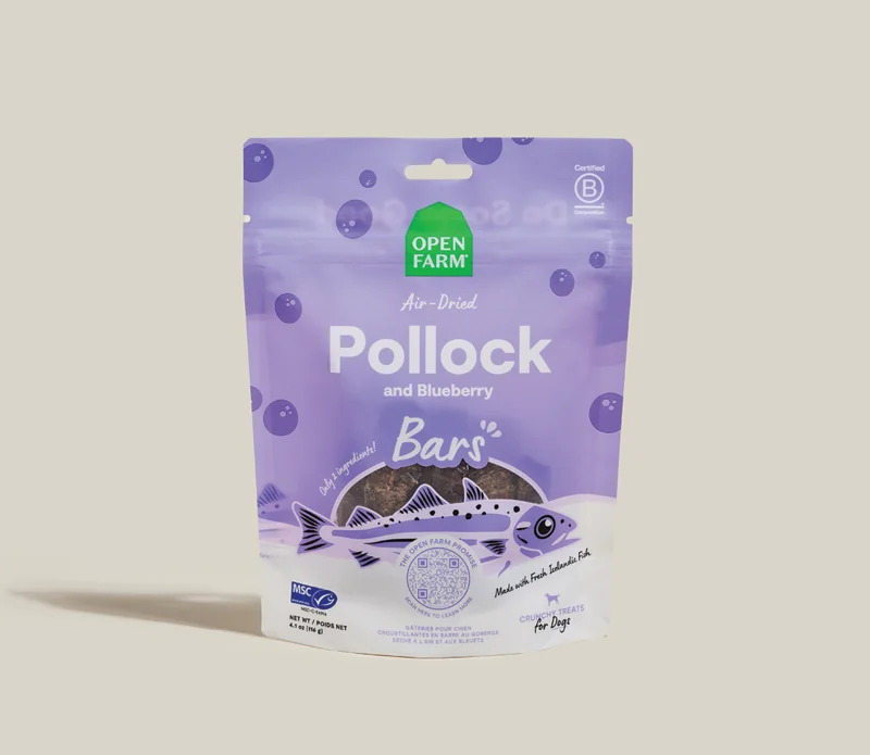 Icelandic Air-Dried Pollock & Blueberry Dog Treat Bars