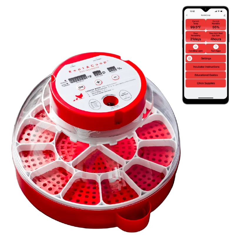 Incubator