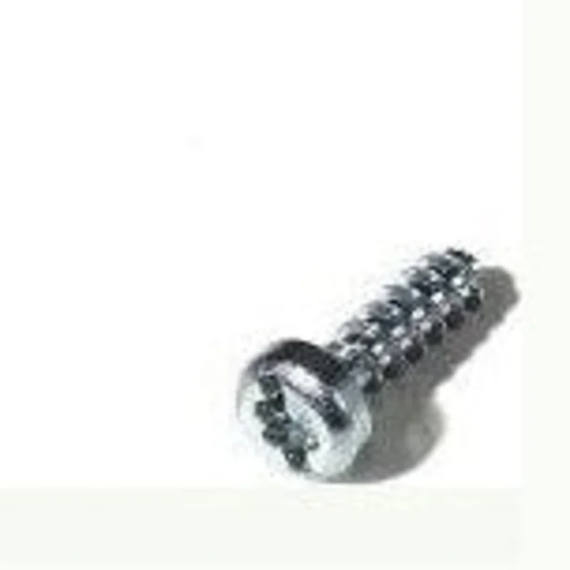 Leister 100.267 PT FILLISTER HEAD SCREW TRIAC S