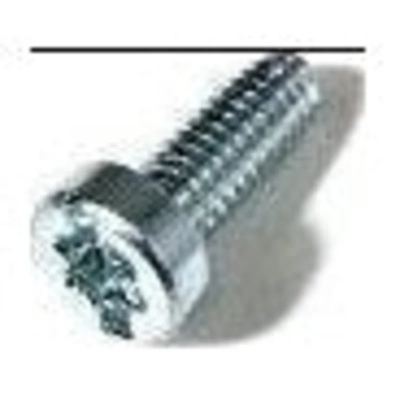 Leister 100.269 THREAD FORMING SCREW M4 X 8
