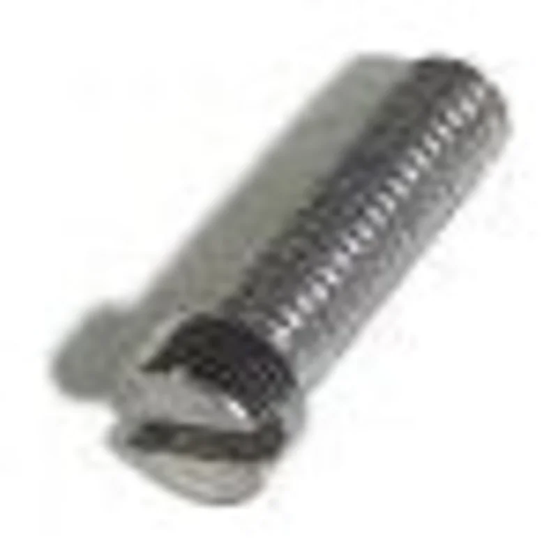 Leister 100.817 _ CHEESE HEAD SCREW M3 X 10