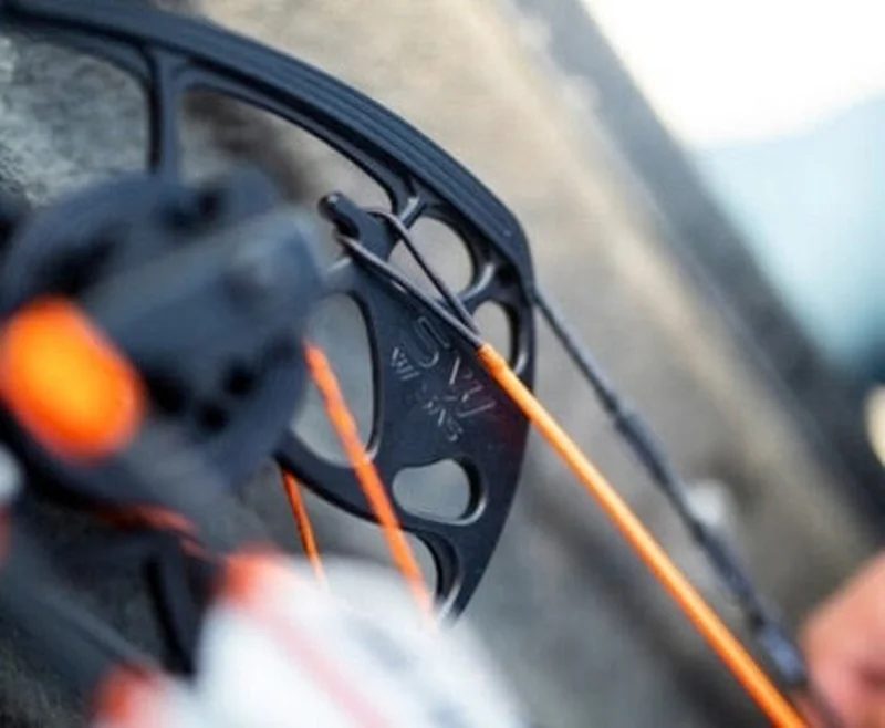 Mathews STAY AFIELD SYSTEM (S.A.S.)