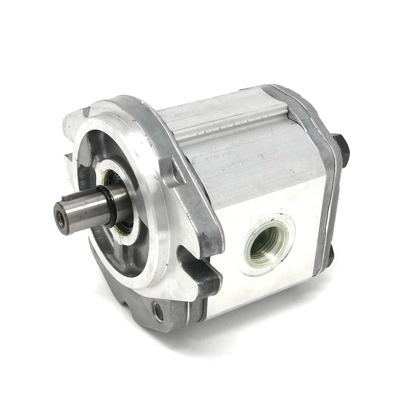 National Equipment 70905-D7 Pump, Double, Marzocchi