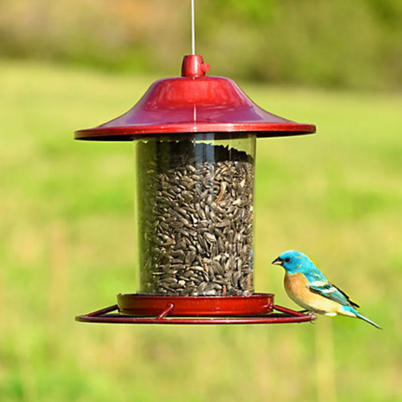 Perky-Pet Red Sparkle Panorama Feeder - 2 lb Seed Capacity