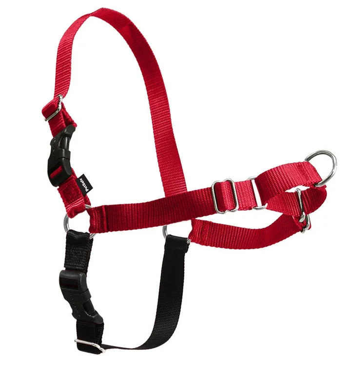 PetSafe Easy Walk Harness, No Pull Dog Harness