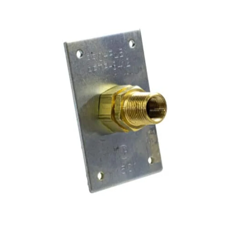 Pro-Flex Special Term Plate with Fitting