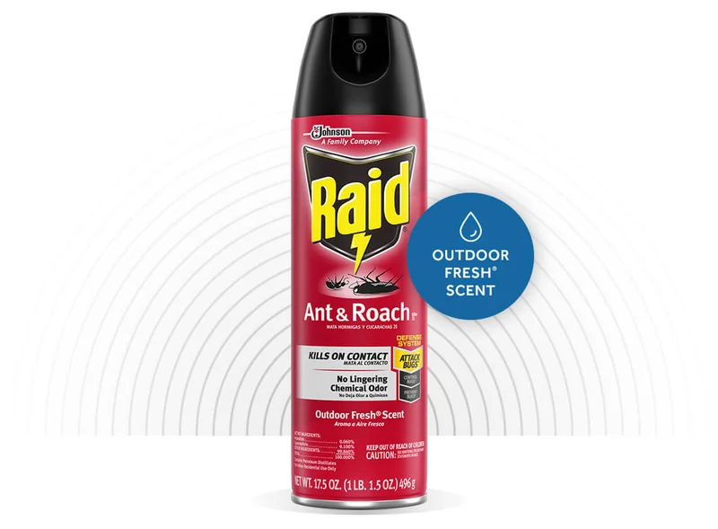 RAID ANT & ROACH KILLER 26