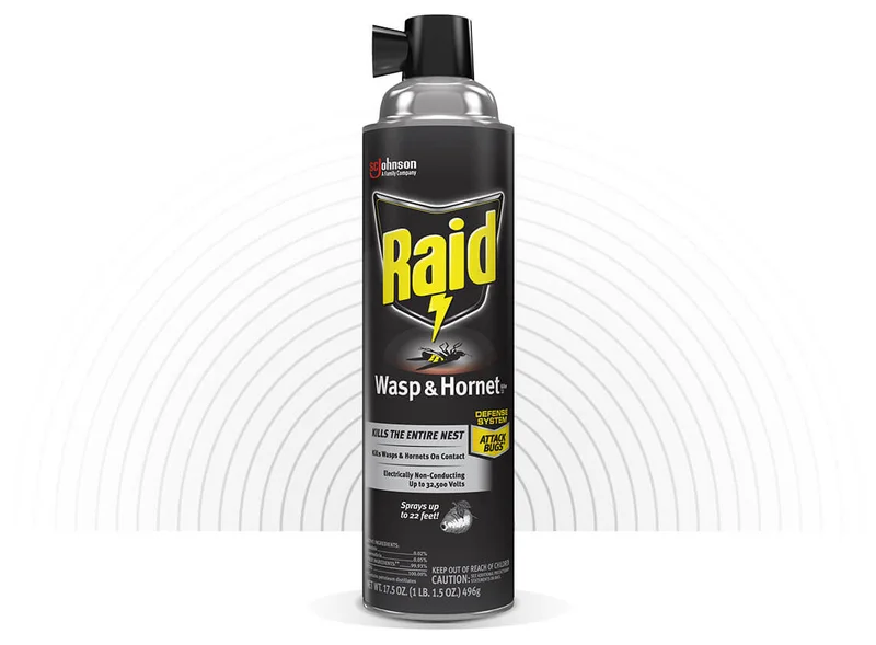 RAID WASP & HORNET KILLER 33