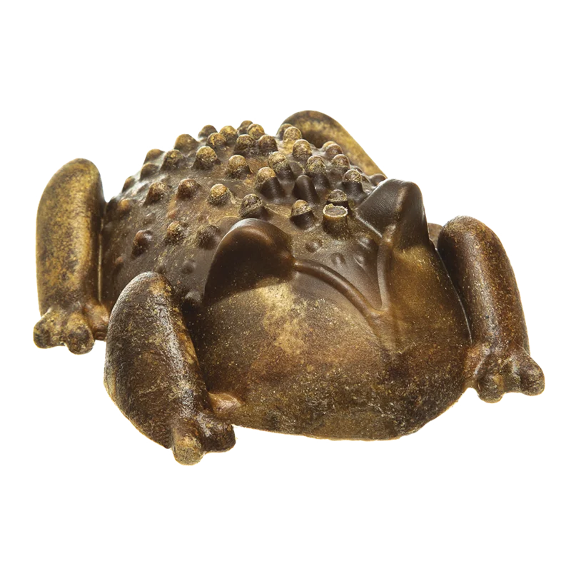 Redbarn Chew-A-Bulls Horned Toad