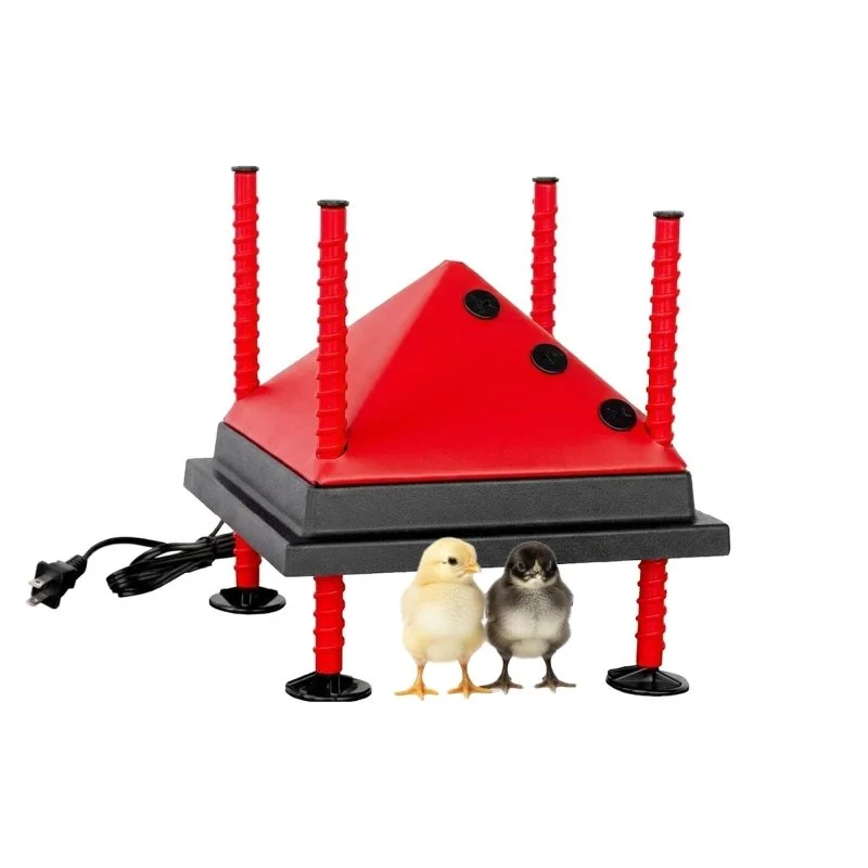 RentACoop 10x10 Adjustable Heating Plate with Bonus Foldable Anti-Roost Cone for up to 15 Chicks