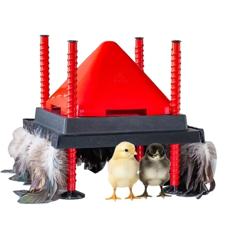 RentACoop 10x10 Heating Plate with Hard Anti-Roost Cone Set and Removable Comfort Feathers Chick Brooder Heat Plate Warms Up to 15 Chicks