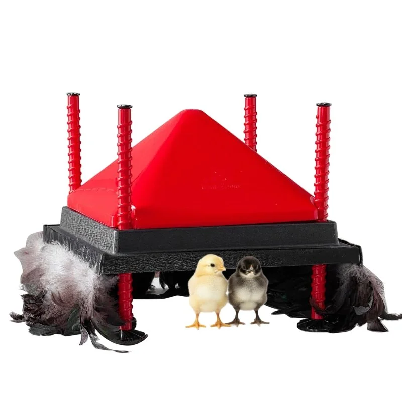 RentACoop 12x12 Adjustable Heating Plate with Hard Anti-Roost Cone Set and Removable Comfort Feathers - Chick Brooder Heat Plate Warms Up to 20 Chicks