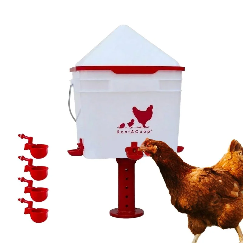 RentACoop2 GallonChickenWaterer with4 Auto-Fill Water Cups and 4Horizontalnipples