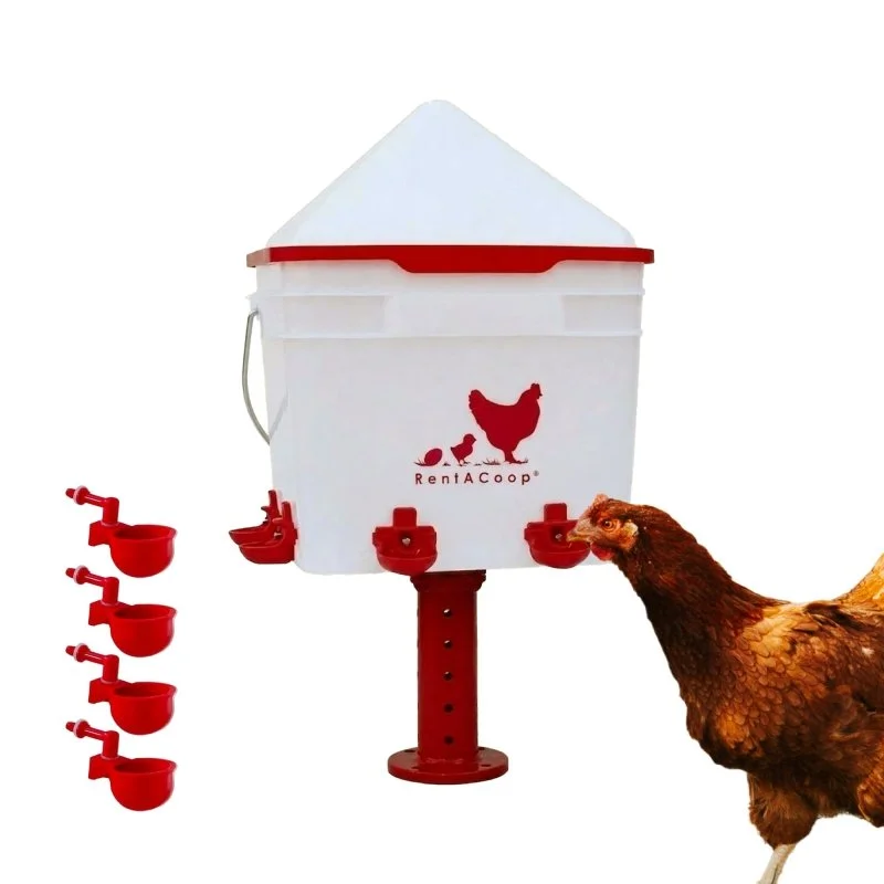RentACoop2 GallonChickenWaterer with4 Cups and 4 Nipples - Corner Placement