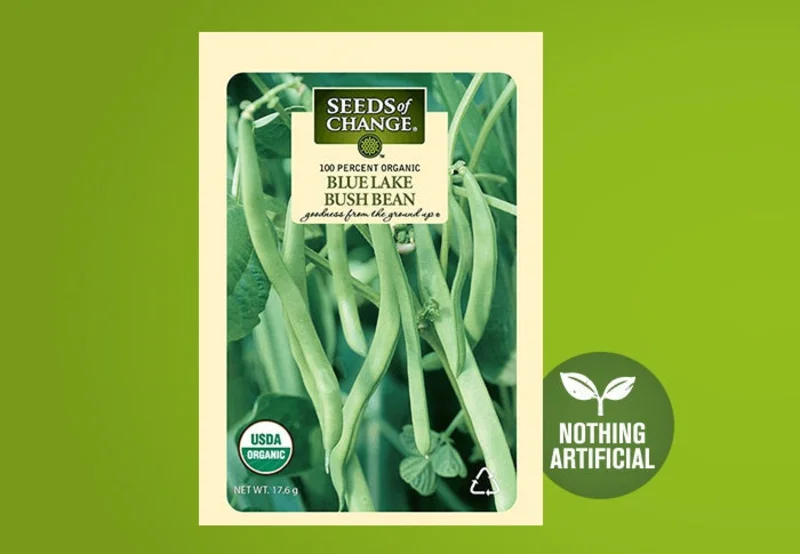 SEEDS OF CHANGE ORGANIC BLUE LAKE BUSH BEAN SEEDS