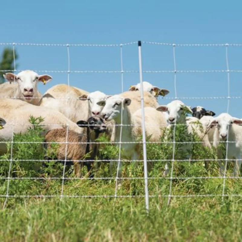 Sheep & Goat Netting