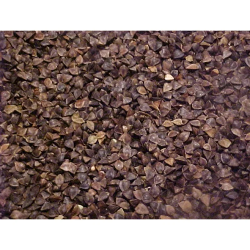 Southern States Buckwheat