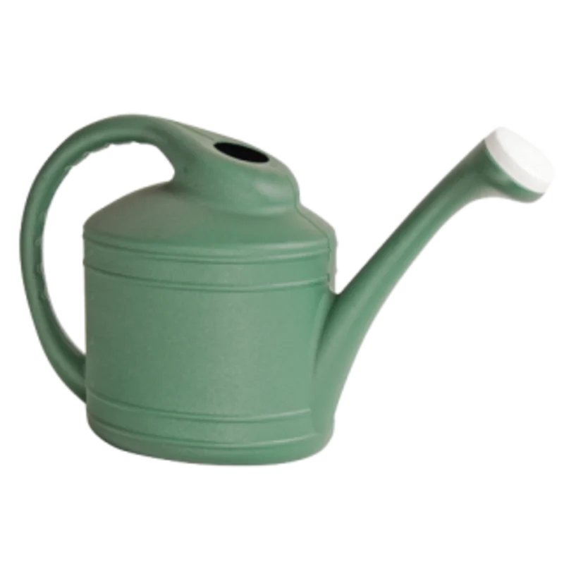 The Ames Watering Can Fern