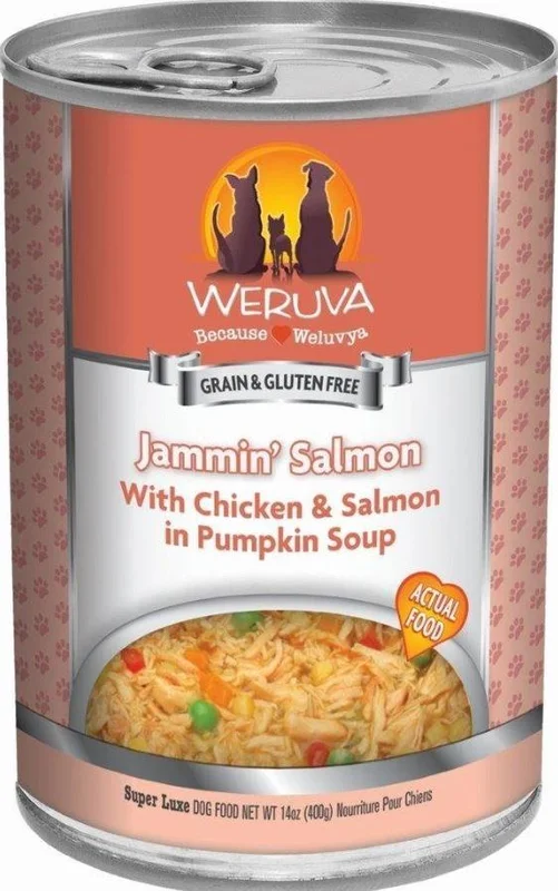 Weruva Jammin Salmon with Chicken & Salmon in Pumpkin Soup Dog Food