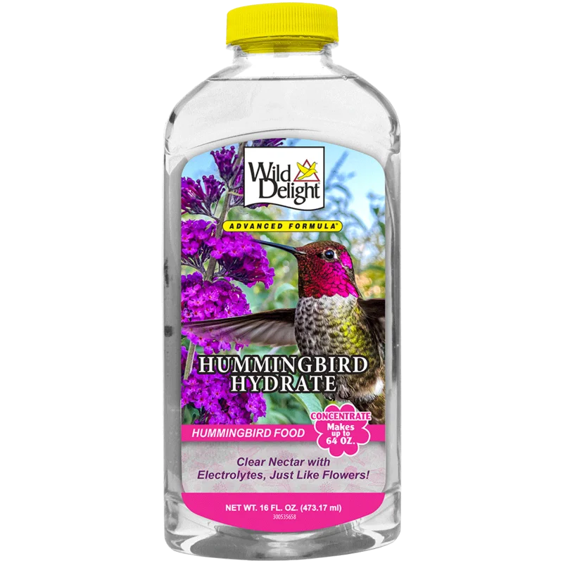 Wild Delight Hummingbird Hydrate Concentrate